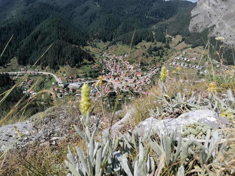 Предимно слънчево на 7 юли, с максимални температури от 26 градуса в планините