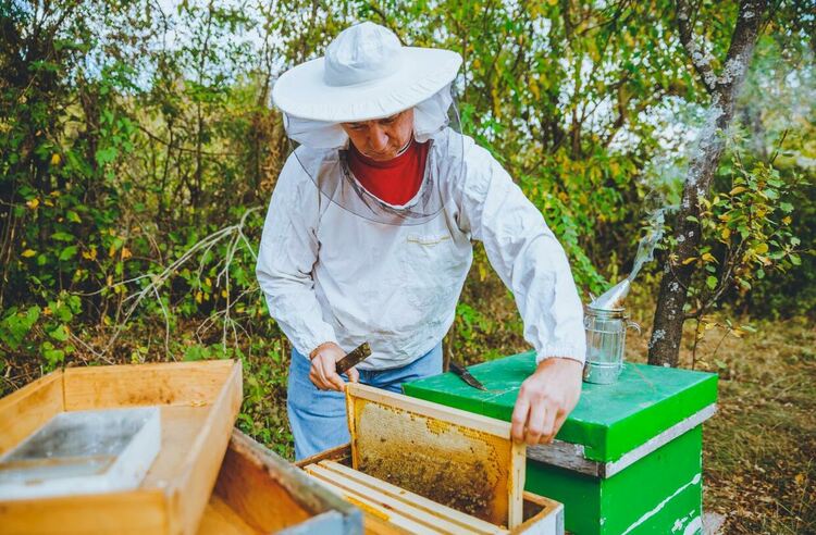 Финансовата подкрепа по de minimis за пчеларите е прекратена