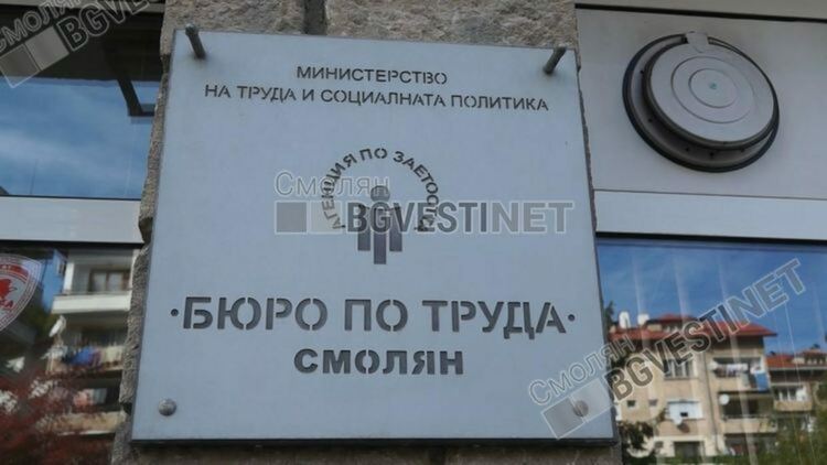 58 свободни работни места обяви Бюрото по труда към 8 юли