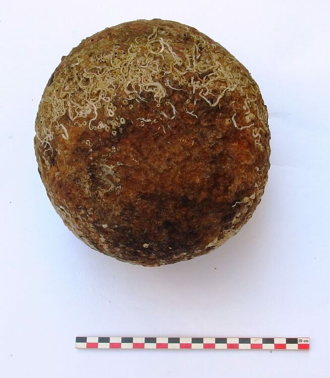 Каменна бойна топка