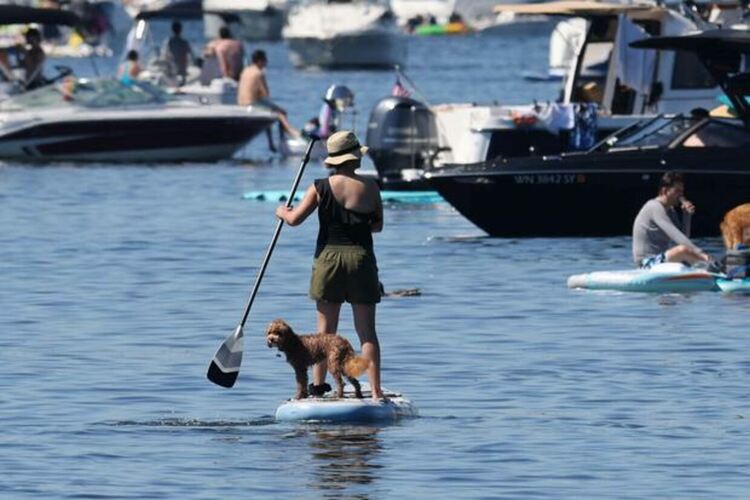 Учени прогнозират "плашеща ескалация на температурните крайности" след безпрецетентните жеги през юни