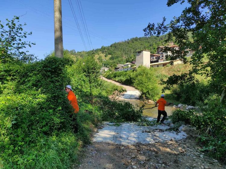 Доброволци превантивно чистят просеките в Рудозем