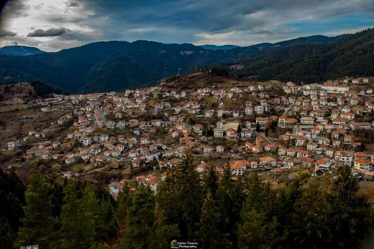 Две момченца останаха сираци, в Момчиловци събират средства за отглеждането им