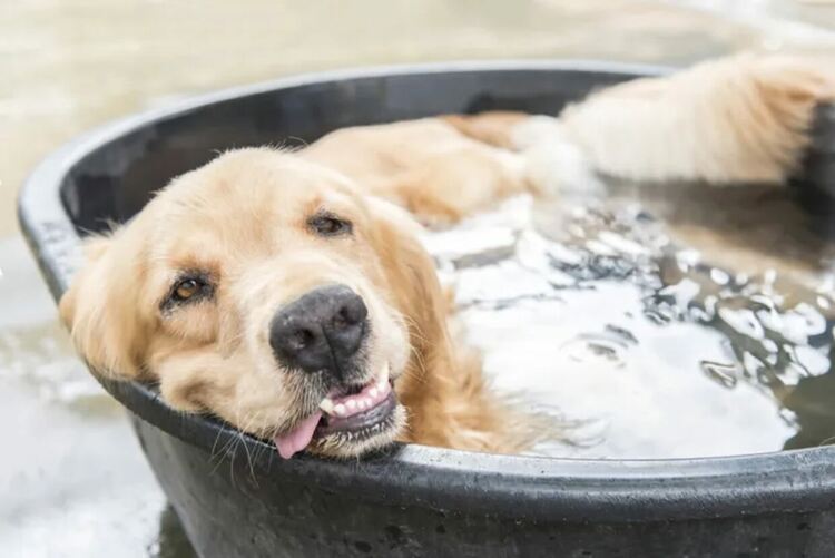 Опасно горещо време днес