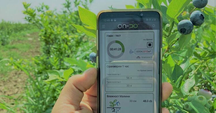 Бургер от дървесна гъба, интелигентен аератор за вино и криоконсервиране на насекоми - с европейски средства за агроиновации