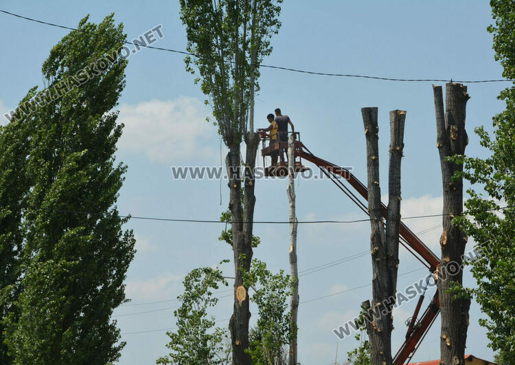  Катастрофа в зверските задръствания в града