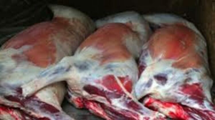 Нелегална кланица с месо за Байрама,разкриха полицаи на територията на община Момчилград