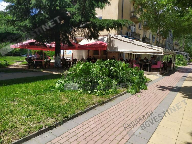 Жълт код за силен вятър днес в областта, в Кърджали ще бъде умерен