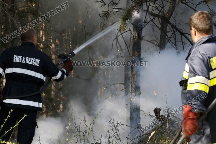 Огнеборци от пет области на помощ за пожара в Сакар