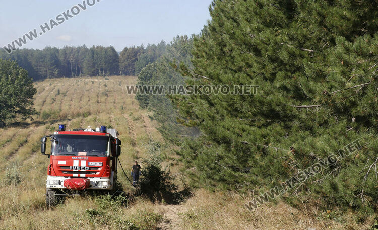 Огнеборци от пет области на помощ за пожара в Сакар