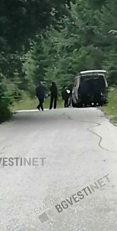 Зверство! Трупове на кучета "покриха" Перелик.Газени, влачени и стреляни