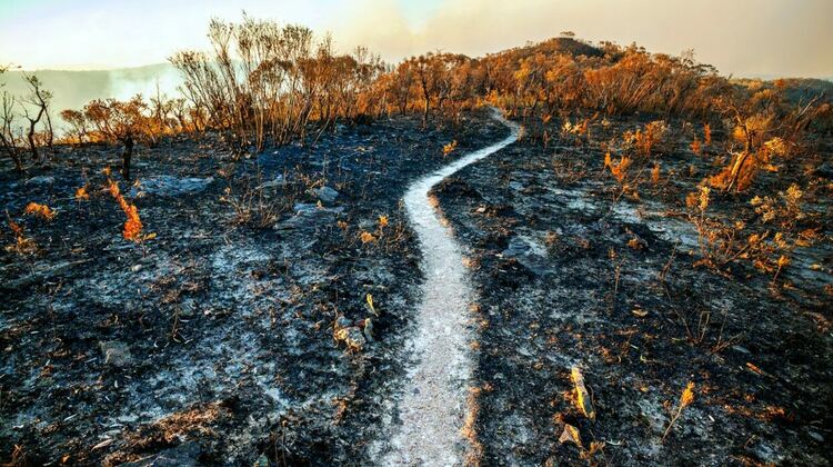 Знаменитата прогноза от 1972 година за световния колапс през 2040-те започна да се сбъдва