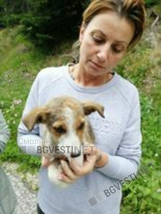 София Сариева с едно от спасените кученца