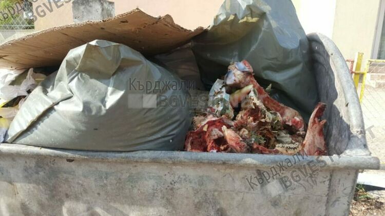 Бумеранг! Как зарази тръгват от Махалата и се връщат в нея?