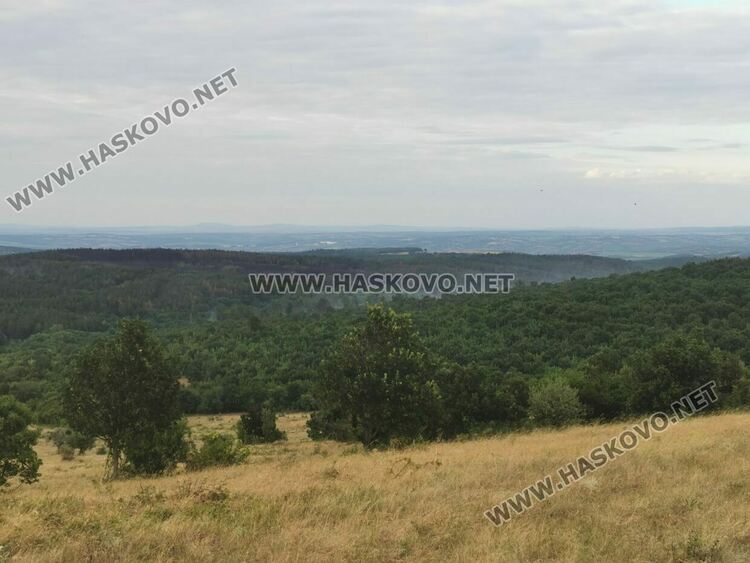 Пожарът в Свиленградско е овладян