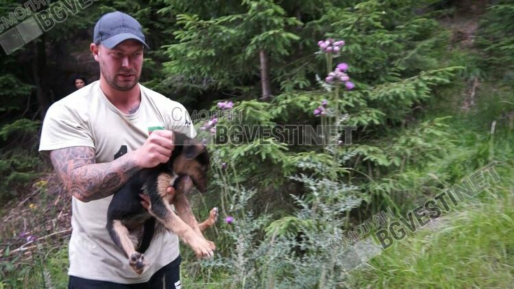 Образуваха досъдебно производство за масовото убийство на кучета под вр.Перелик/ новина в снимки/