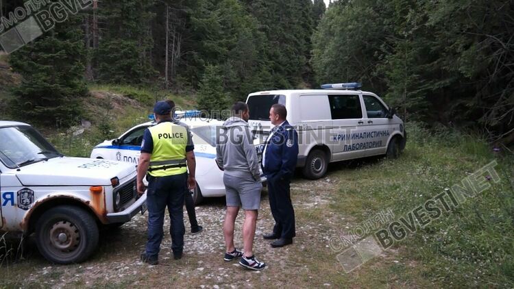 Прокуратурата: Кучетата са убити по особено мъчителен начин,чрез средства опасни за хора и животни