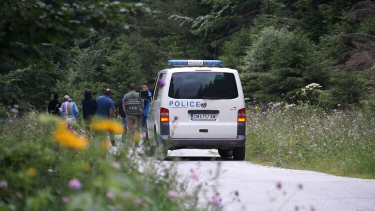 Зверство! Трупове на кучета "покриха" Перелик.Газени, влачени и стреляни