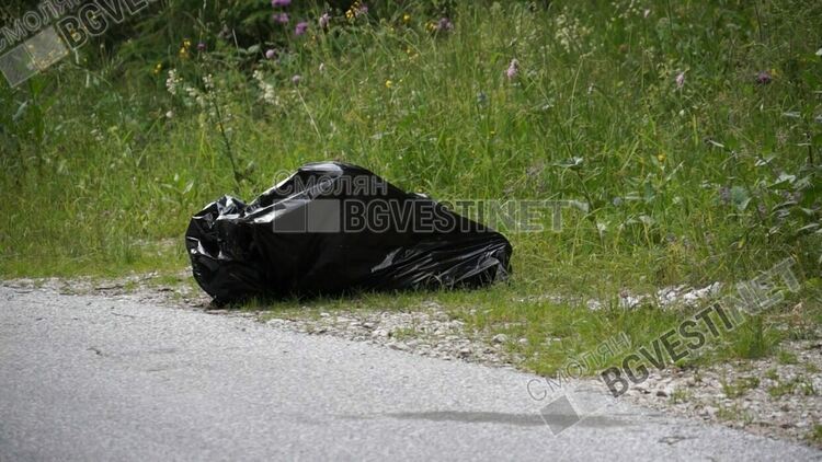 Образуваха досъдебно производство за масовото убийство на кучета под вр.Перелик/ новина в снимки/