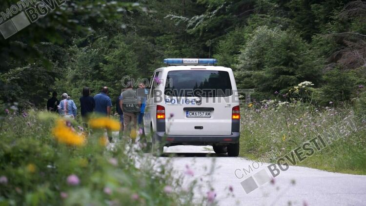 Прокуратурата: Кучетата са убити по особено мъчителен начин,чрез средства опасни за хора и животни