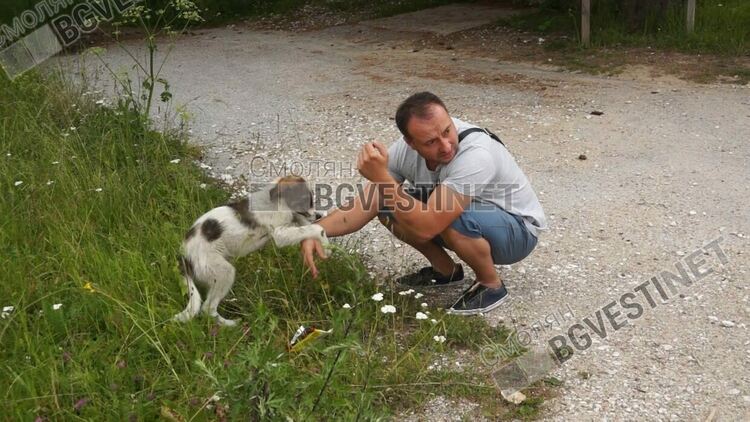 Образуваха досъдебно производство за масовото убийство на кучета под вр.Перелик/ новина в снимки/
