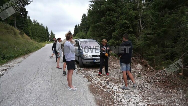 Образуваха досъдебно производство за масовото убийство на кучета под вр.Перелик/ новина в снимки/