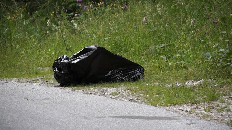 Зверство! Трупове на кучета "покриха" Перелик.Газени, влачени и стреляни