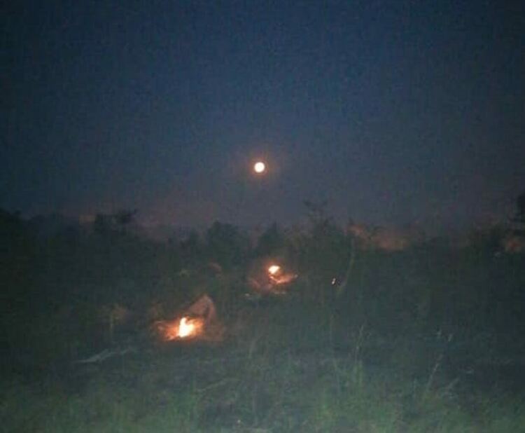 5000 дка, сред които и горски масив, горят в Харманлийско