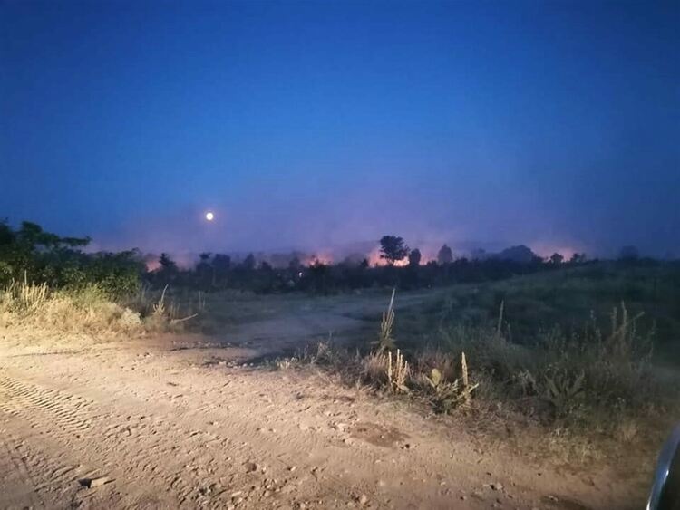 5000 дка, сред които и горски масив, горят в Харманлийско