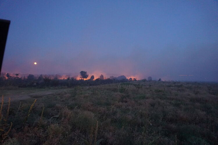 Овладян е пожарът в Сакар планина, обхванал 5000 дка