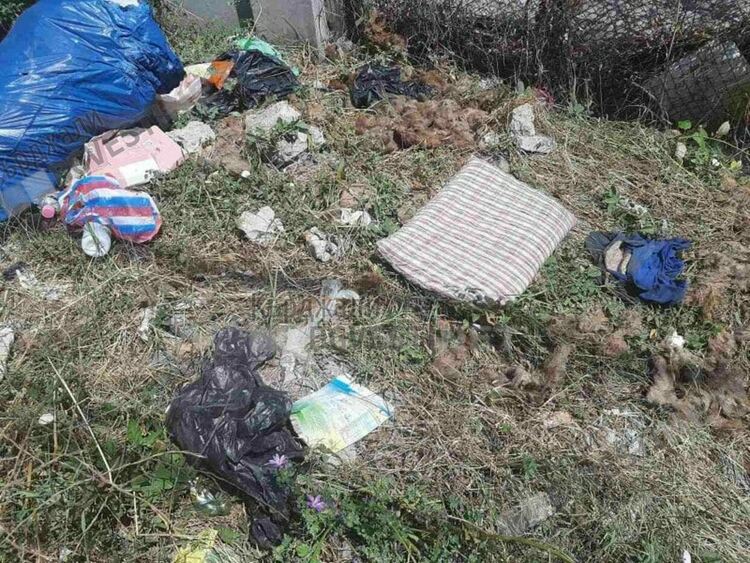 Нерегламентирани сметища с отпадъци от жертвени животни за Байрама изникнаха край Пазара, РЗИ ще сезира Общината/снимки/