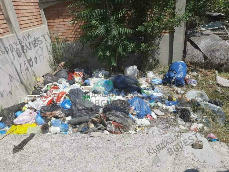 Нерегламентирани сметища с отпадъци от жертвени животни за Байрама изникнаха край Пазара, РЗИ ще сезира Общината/снимки/