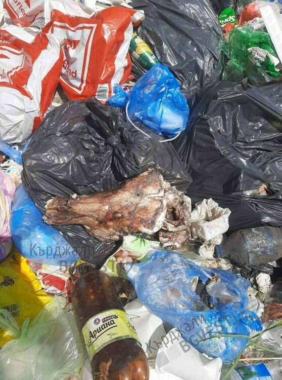 Нерегламентирани сметища с отпадъци от жертвени животни за Байрама изникнаха край Пазара, РЗИ ще сезира Общината/снимки/