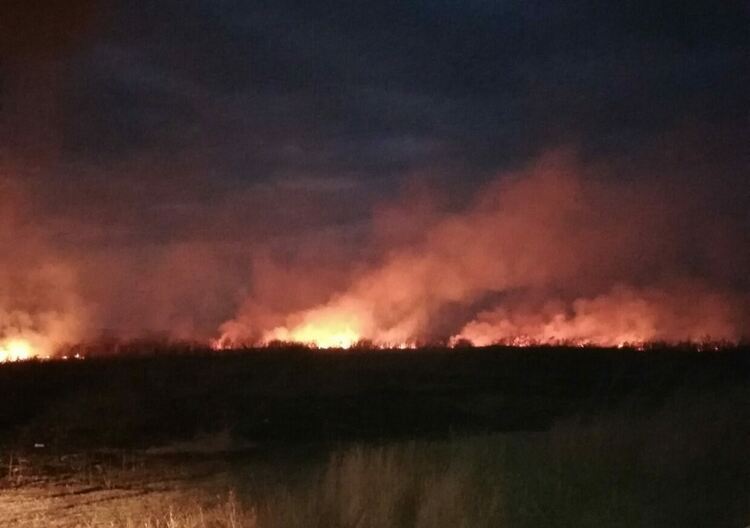 Умишлено палят  имоти до Градина