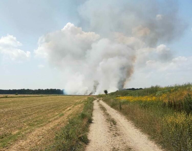 Умишлено палят  имоти до Градина