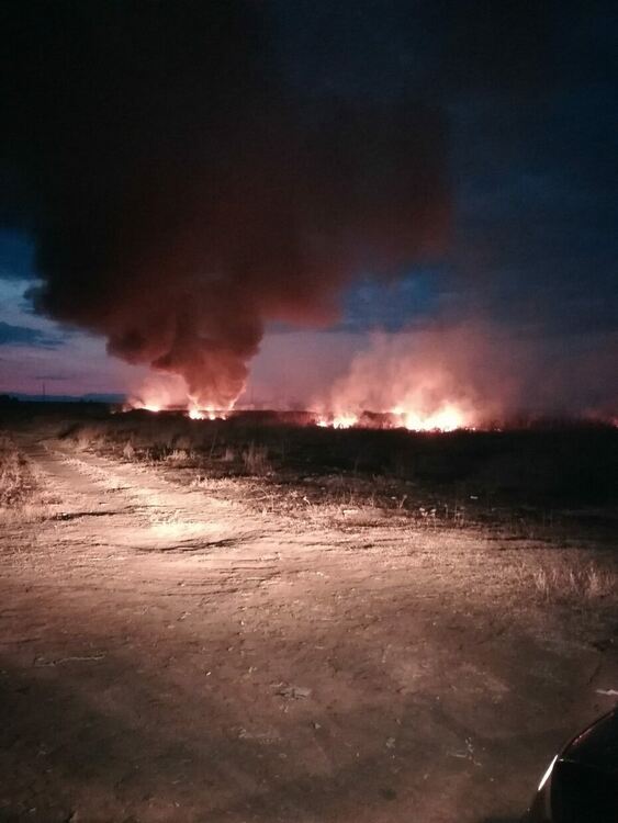 Умишлено палят  имоти до Градина