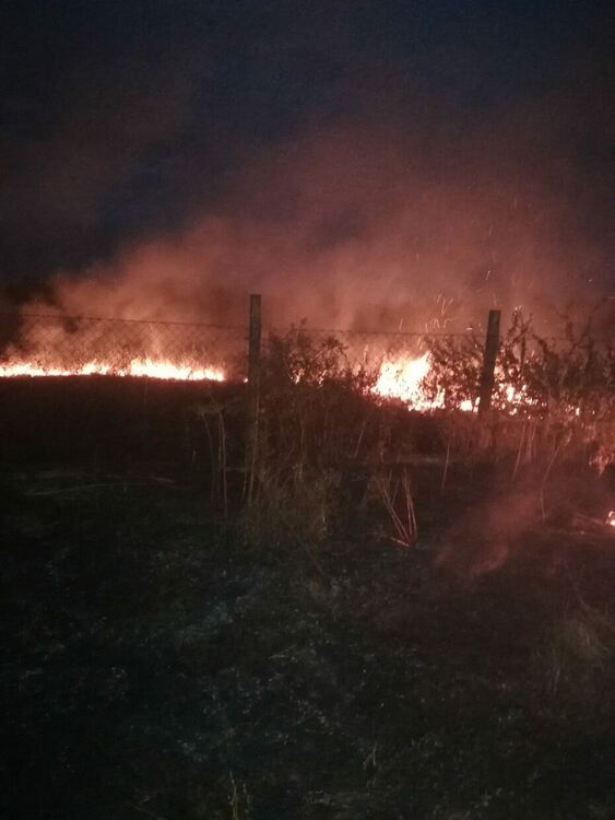 Умишлено палят  имоти до Градина