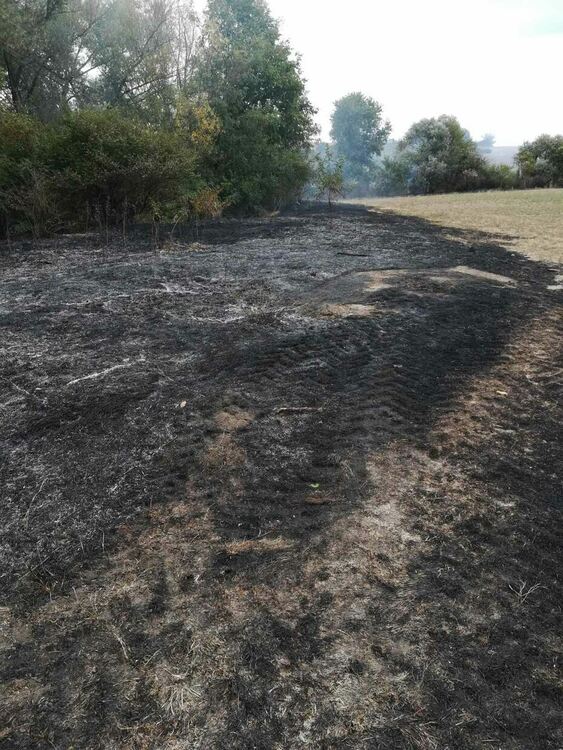 Умишлено палят  имоти до Градина