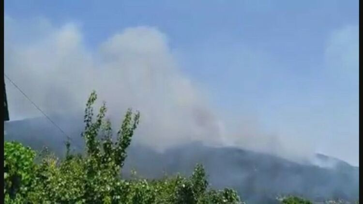 Горски пожар над Твърдица