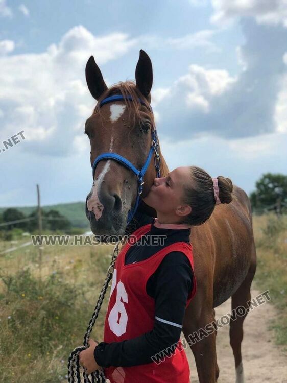 Никол Добрева и кобилата Миа