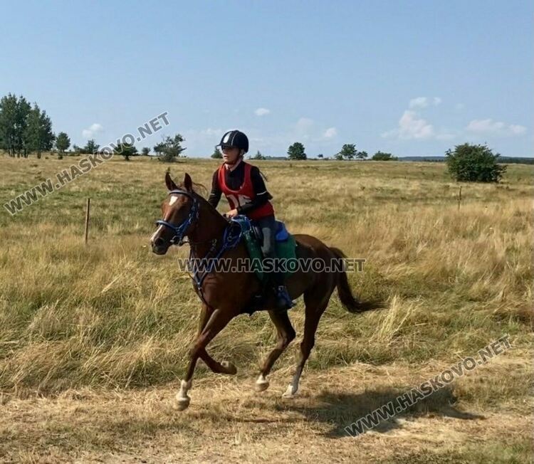 Хасковлийката Никол Добрева и кобилата Миа с победа в състезание по конен спорт