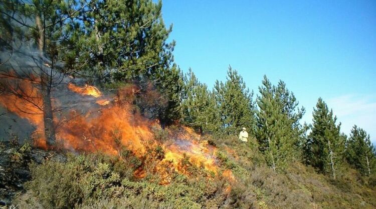 Обл. управител Ангел Стоев: Нека обединим усилия в предотвратяването на пожари!