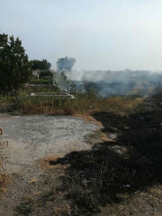 Пиромани посегнаха и на гробището на Градина