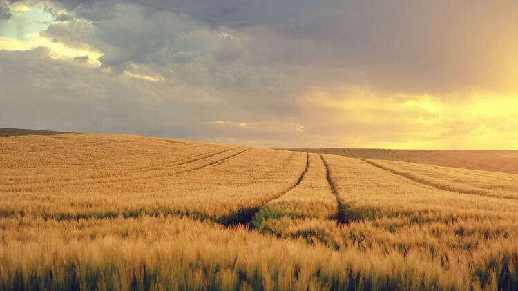 Забранa за палене на огън, пушене и паркиране край нивите