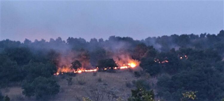 Широколистна гора и треви горят край Брягово, чакат техника за просеки от Пловдив