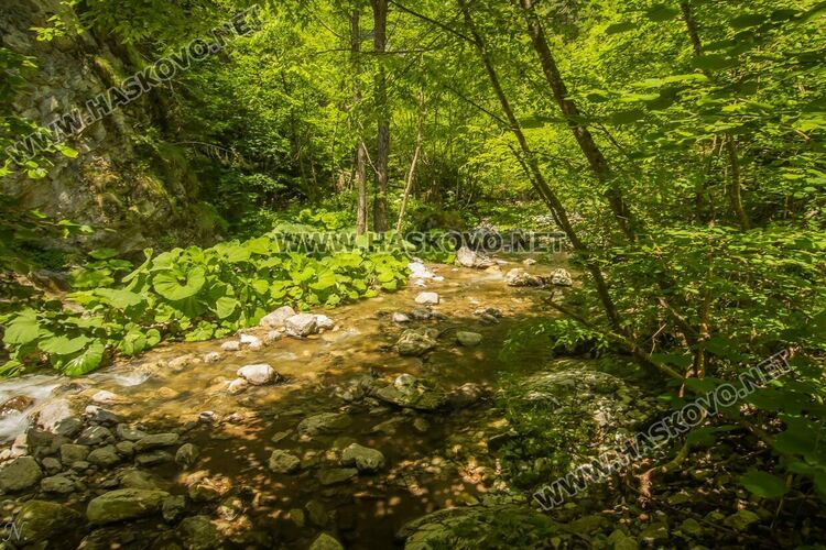 снимка: Нина Серафимова