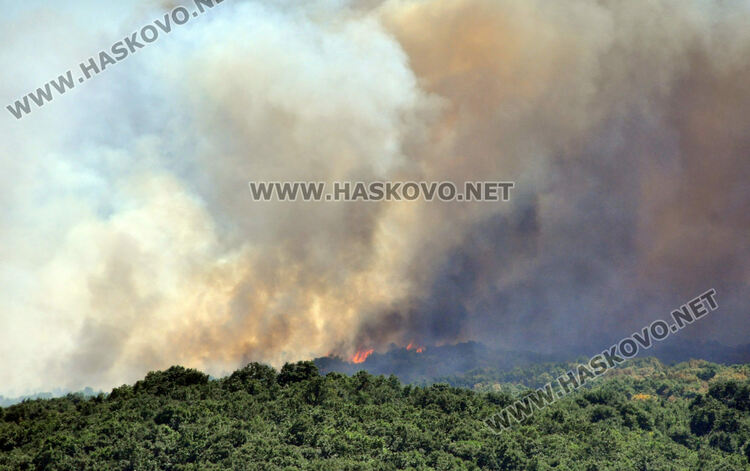 Пожар гори край Брягово