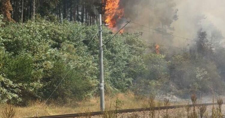 Мащабен пожар гори в Стара планина