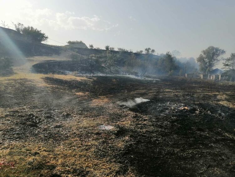 Огнен ад в Пловдивско - пожари в Първенец, Стамболийски и Централен Балкан (снимки)