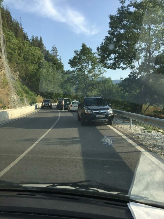 снимка: Никола Александров